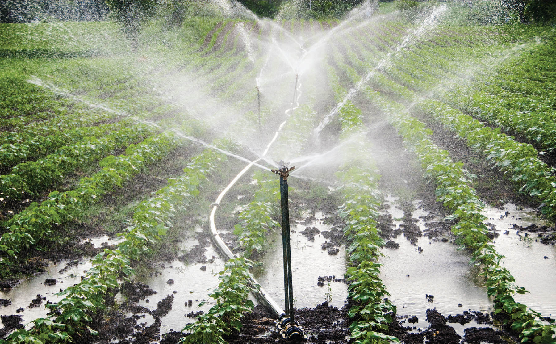 Improving Irrigation: Update on the Pradhan Mantri Krishi Sinchayee Yojana - Indian Infrastructure
